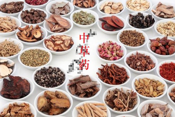 御瘟湯——防控疑似非瘟增加自制發(fā)酵中草藥體內(nèi)外運用的原生中草藥公開參考組方